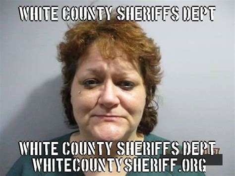 All individuals are innocent until proven guilty. . White county illinois news arrests